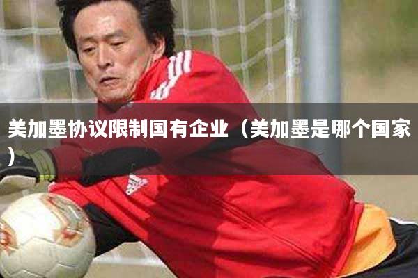 美加墨协议限制国有企业(美加墨是哪个国家)